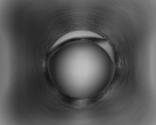 X0000093260084200710101507