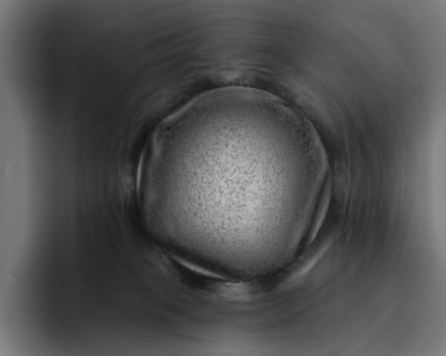 X0000093260085200710101507