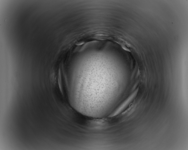 X0000093260086200710101507