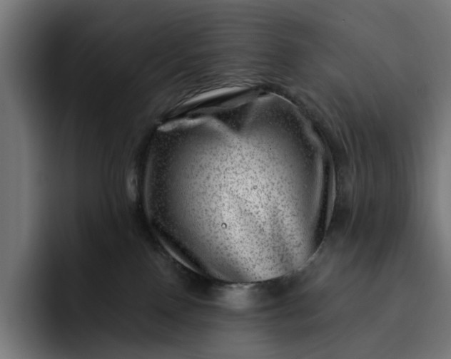 X0000093260090200710101507