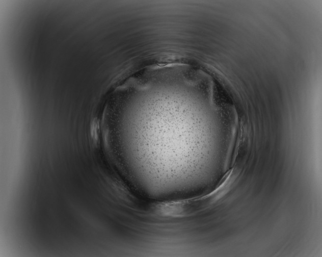 X0000093260094200710101507