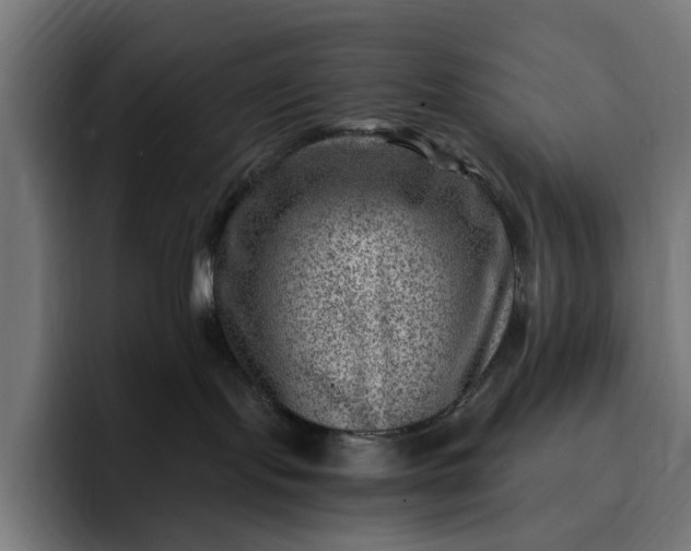 X0000093260095200710101507