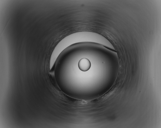 X0000093260096200710101507