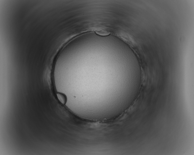 X0000093260098200710101506