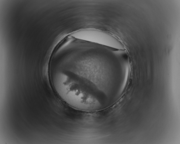 X0000093260099200710101506