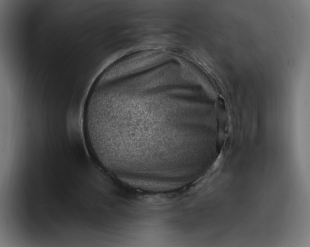 X0000093260100200710101506