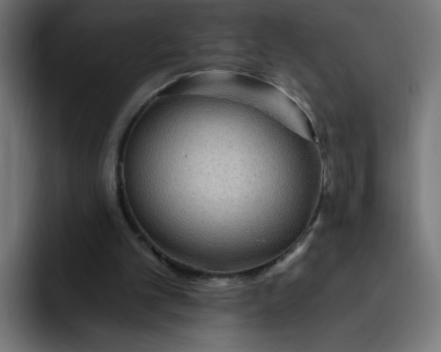 X0000093260101200710101506