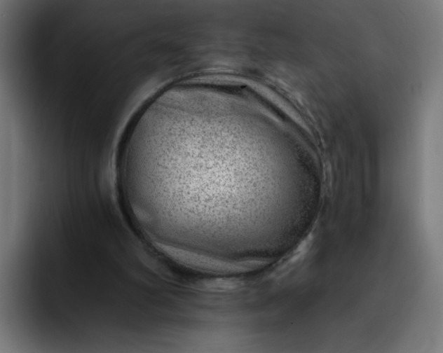 X0000093260102200710101506