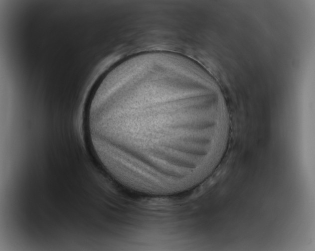 X0000093260104200710101506