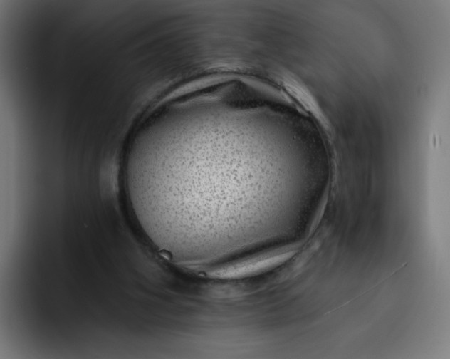 X0000093260106200710101506