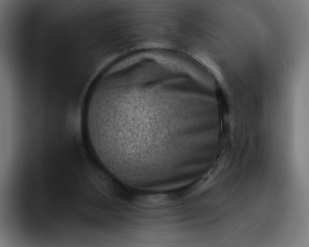 X0000093260108200710101506