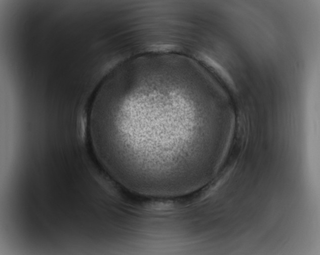 X0000093260110200710101506