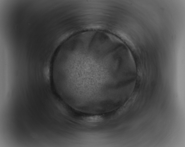 X0000093260112200710101506