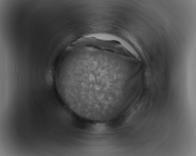 X0000093260114200710101506