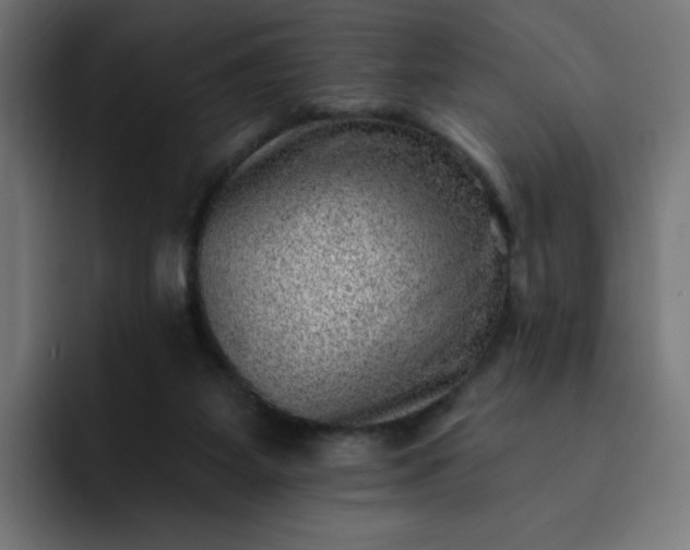 X0000093260115200710101506