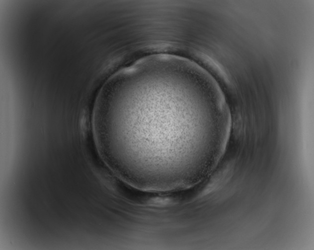 X0000093260119200710101506