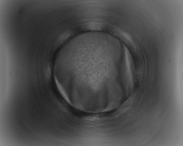 X0000093260120200710101506