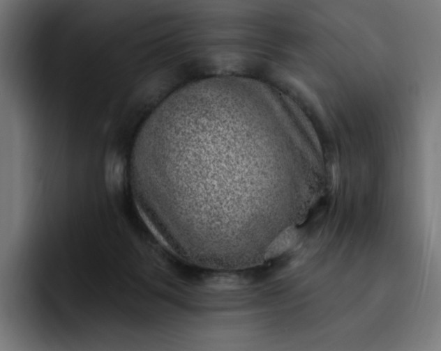 X0000093260123200710101506