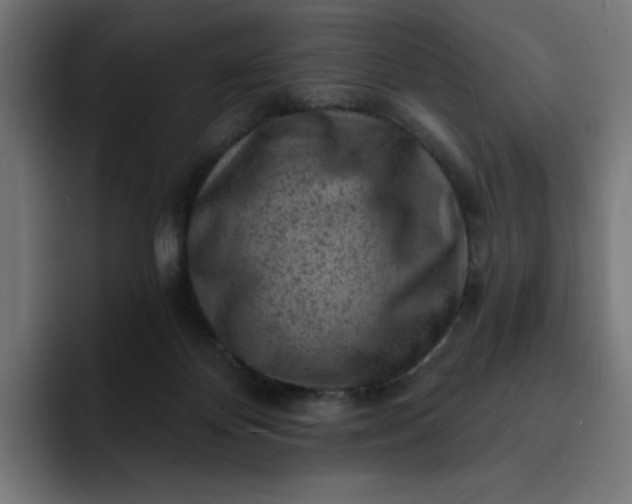 X0000093260124200710101506