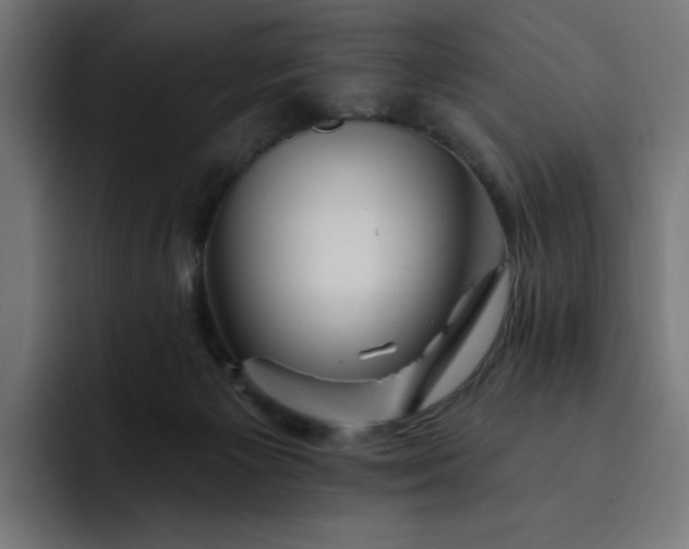 X0000093260125200710101506