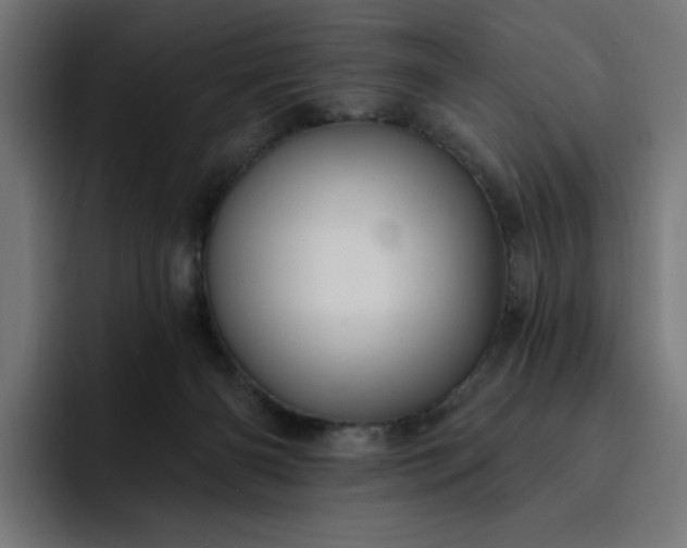 X0000093260126200710101506