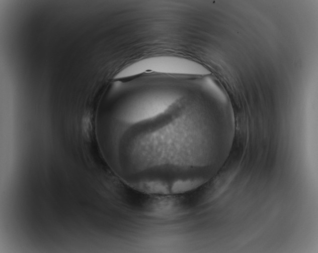 X0000093260127200710101506