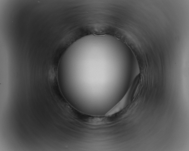 X0000093260129200710101506