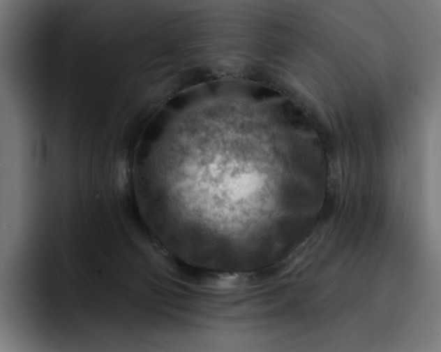 X0000093260130200710101506