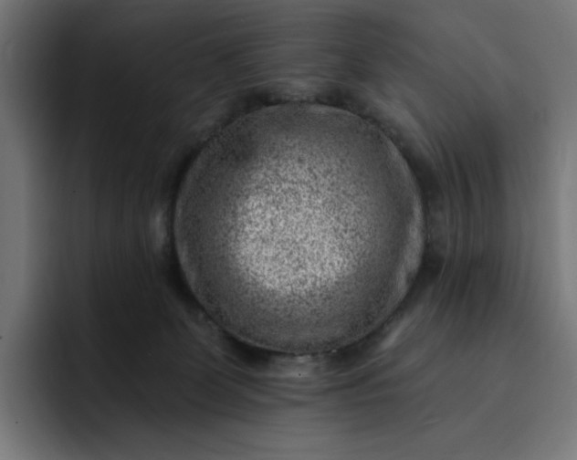 X0000093260131200710101506