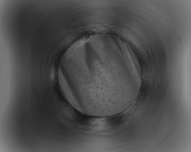 X0000093260132200710101506