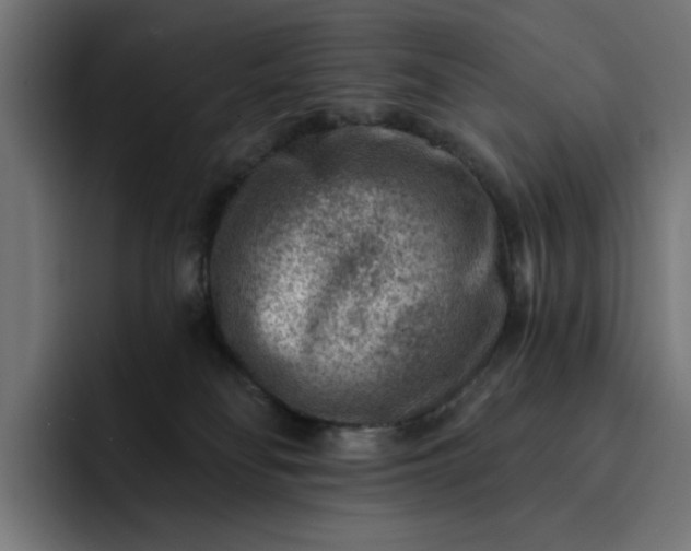 X0000093260134200710101506