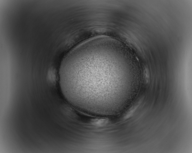 X0000093260135200710101506