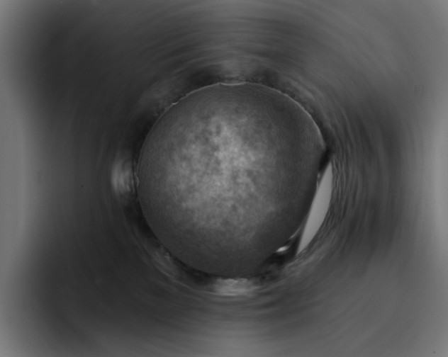 X0000093260137200710101506