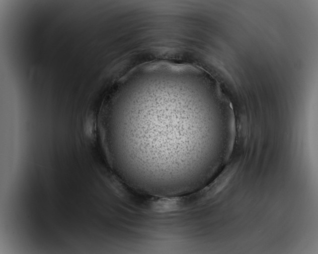 X0000093260138200710101506