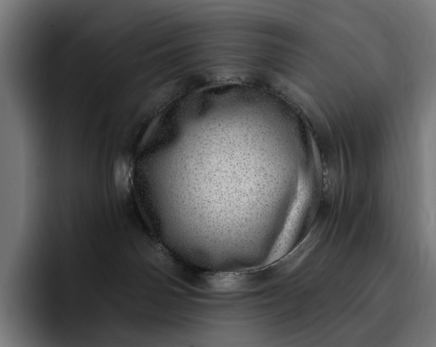 X0000093260142200710101506