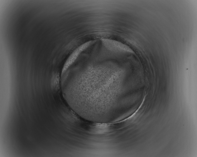 X0000093260144200710101506