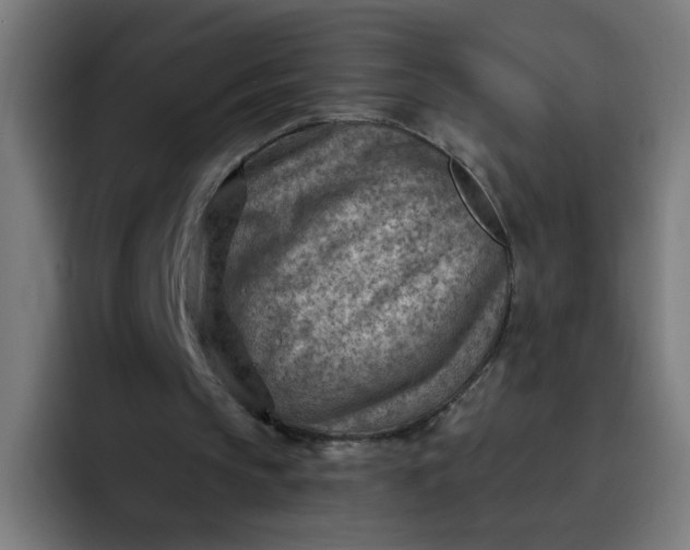 X0000093260145200710101505