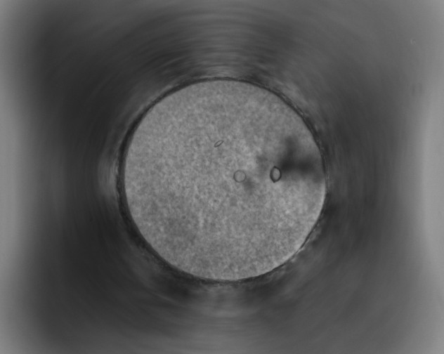 X0000093260146200710101505