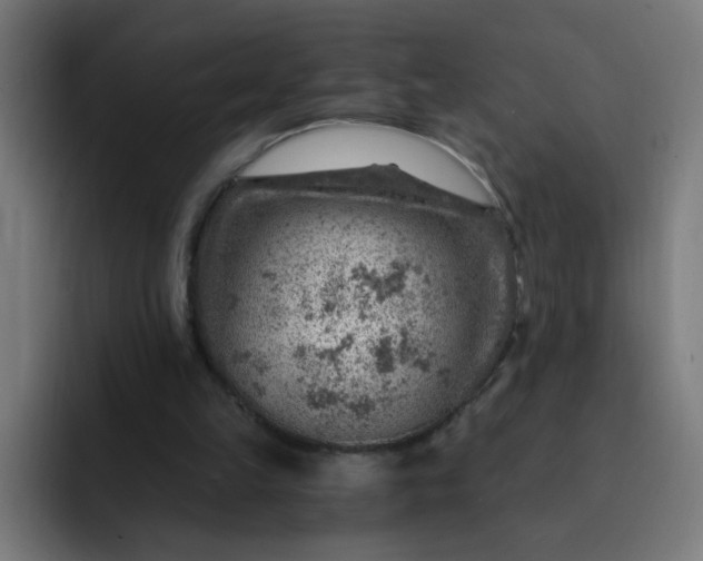 X0000093260149200710101505