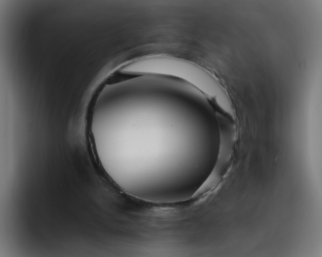 X0000093260150200710101505