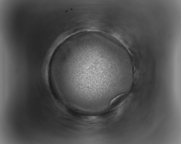 X0000093260151200710101505