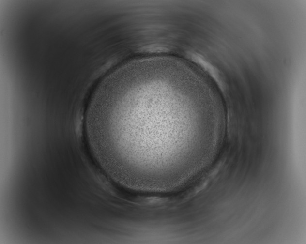 X0000093260153200710101505