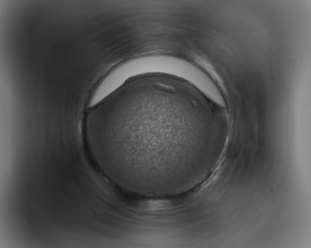 X0000093260154200710101505