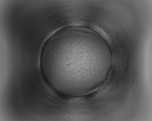 X0000093260155200710101505