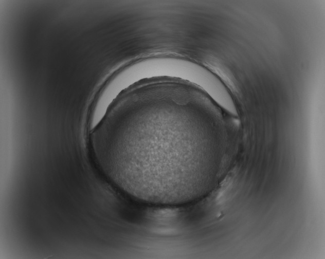 X0000093260156200710101505