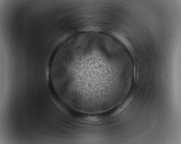 X0000093260157200710101505