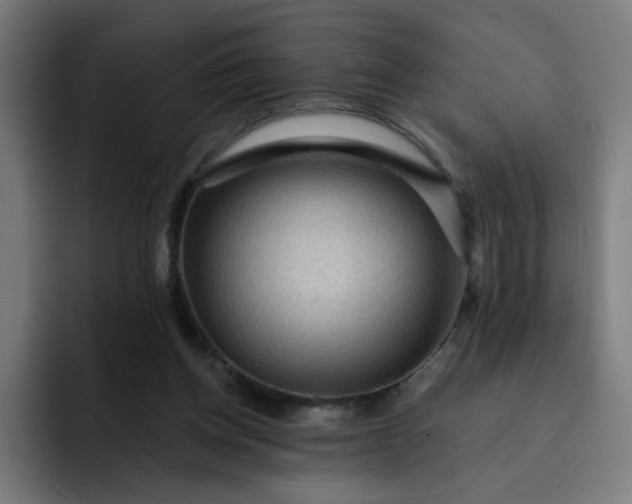 X0000093260158200710101505