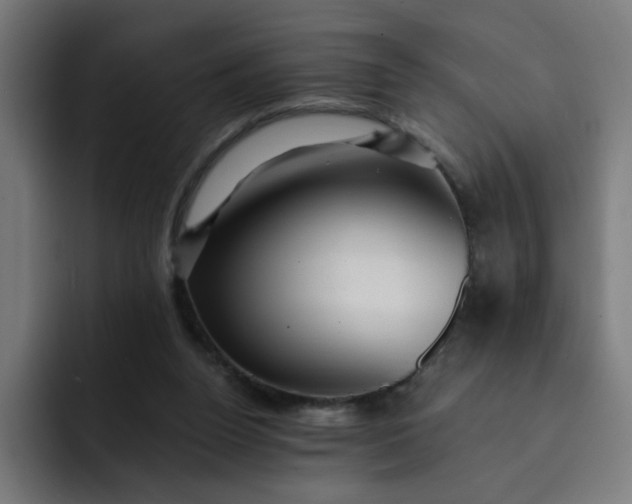 X0000093260160200710101505