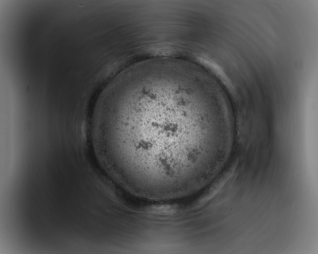 X0000093260161200710101505