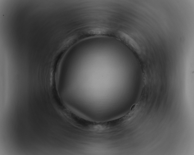 X0000093260163200710101505